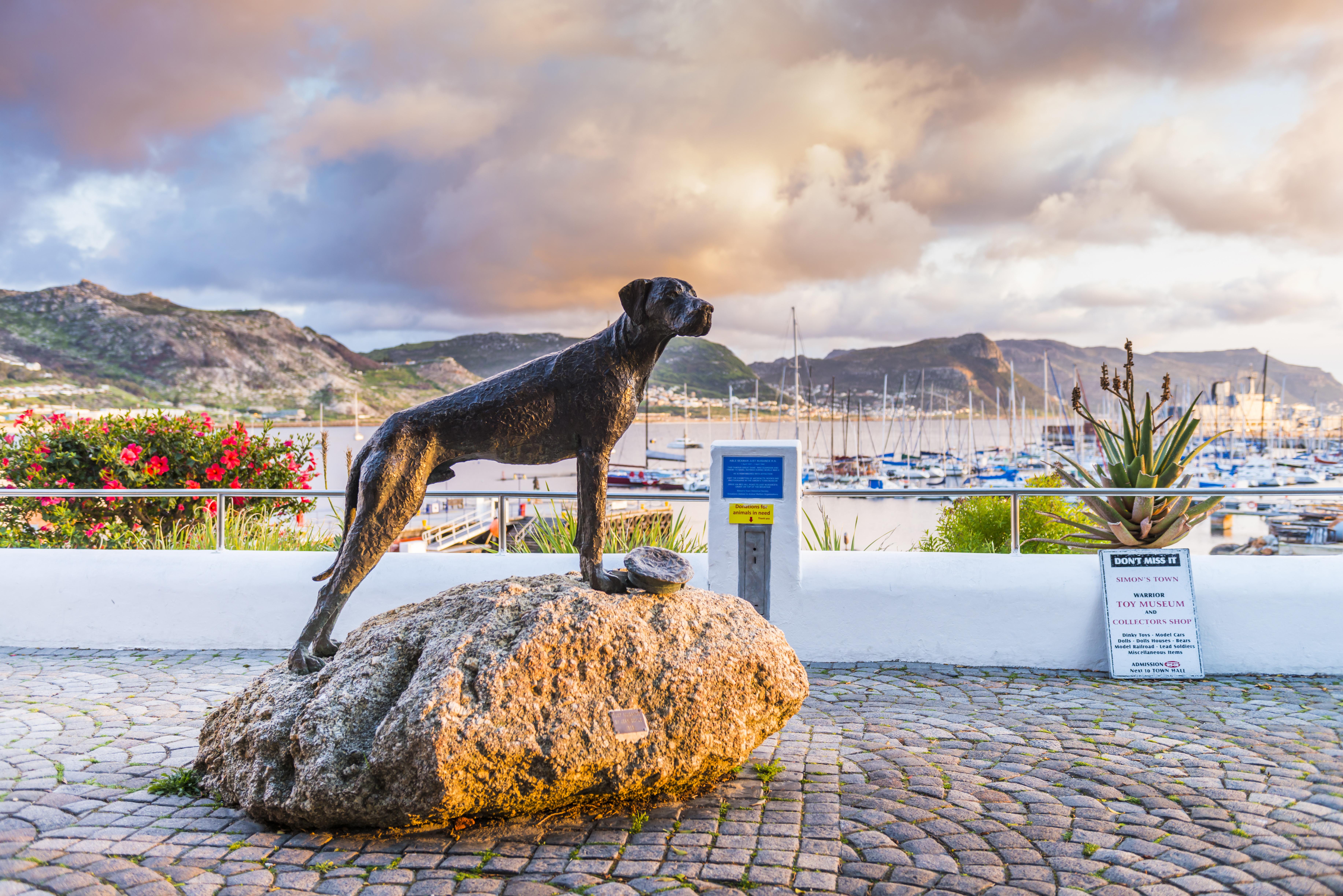 Simon'S Town Quayside Hotel Esterno foto