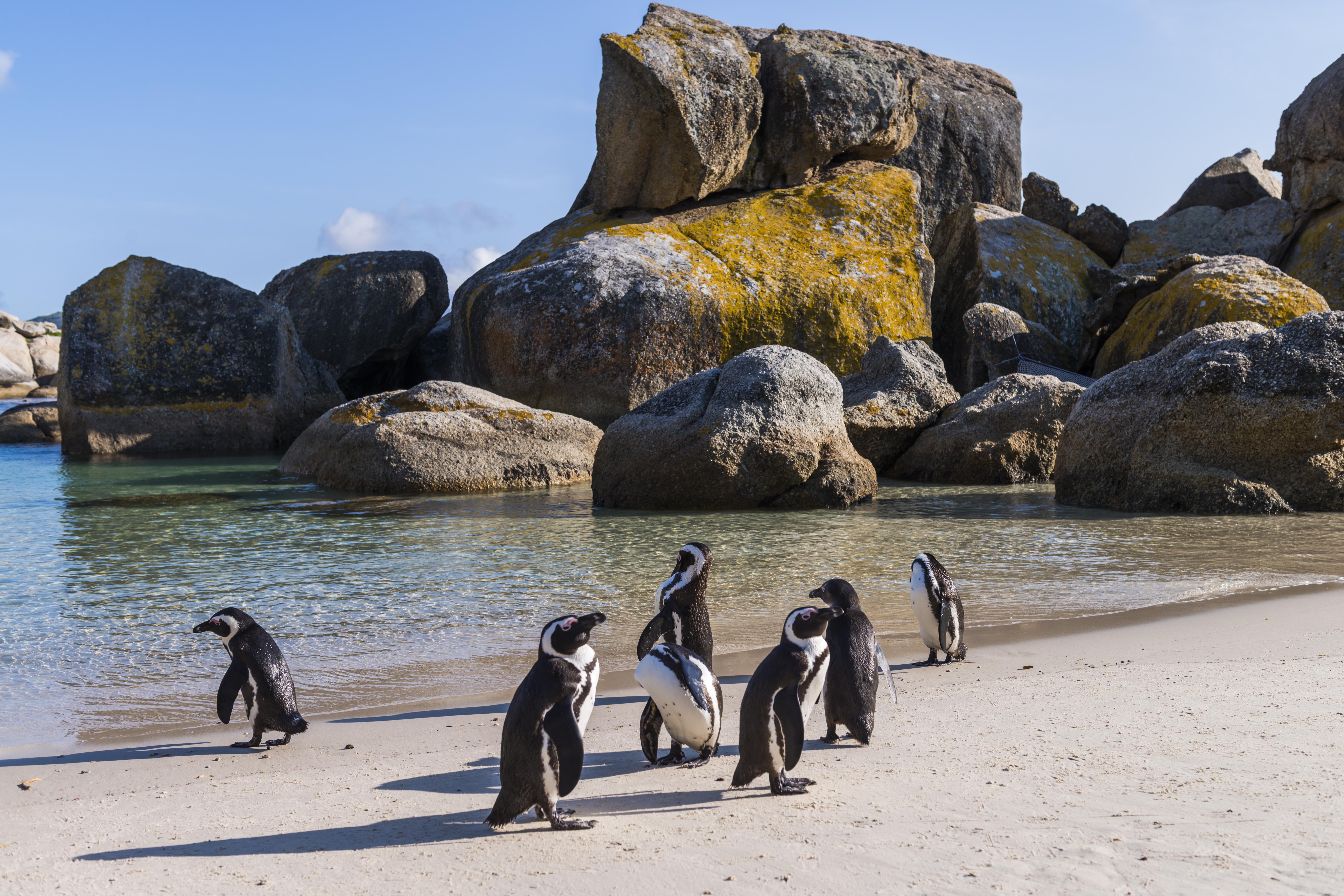 Simon'S Town Quayside Hotel Esterno foto